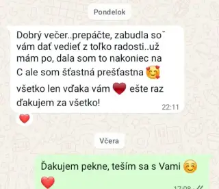Profesionálne písanie záverečných prác