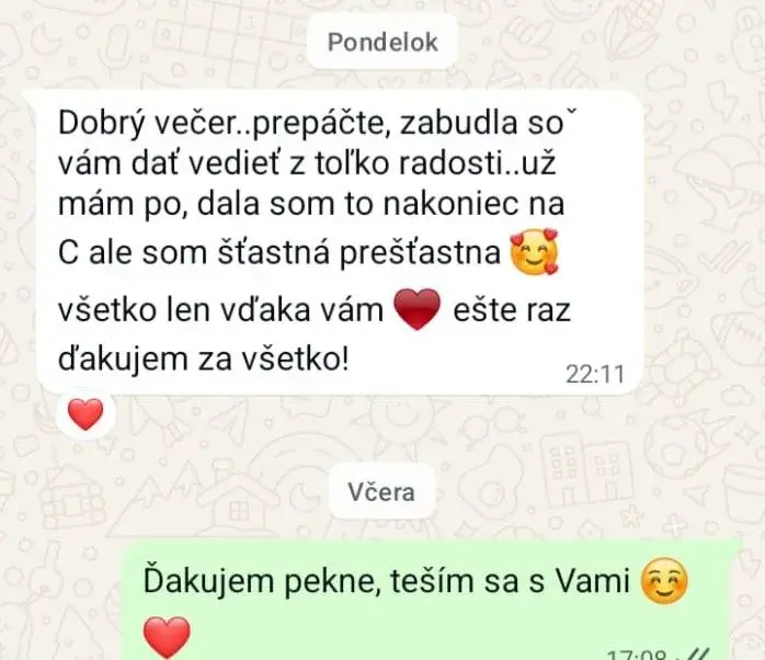 Profesionálne písanie záverečných prác