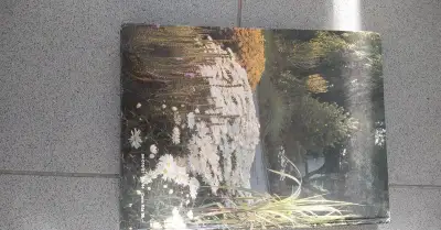 Nepoškodena kompletná kniha Leto v záhrade