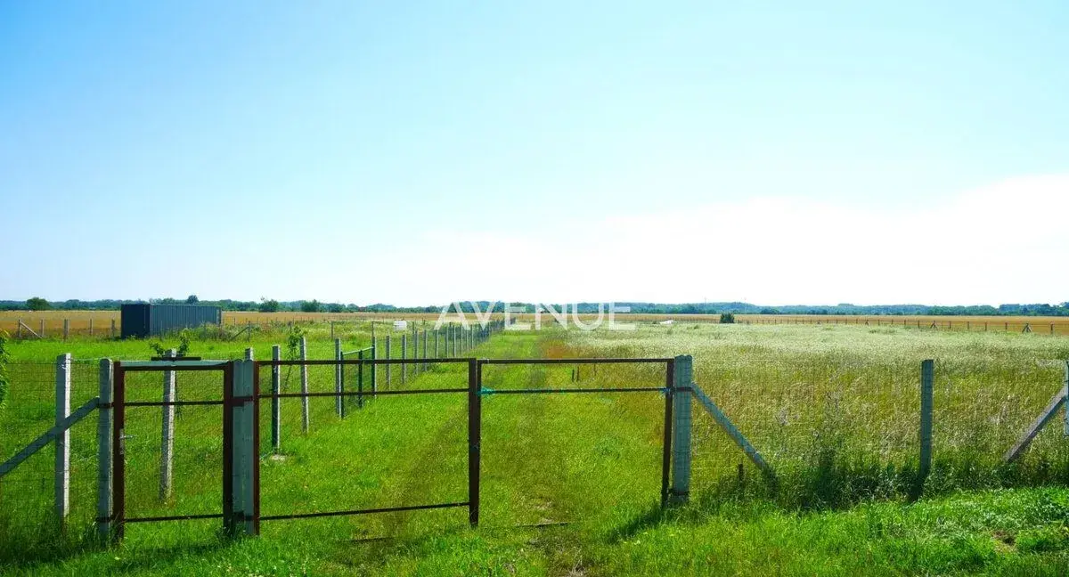 AVENUE | rovinatý pozemok v katastri mestskej časti Čuňovo.