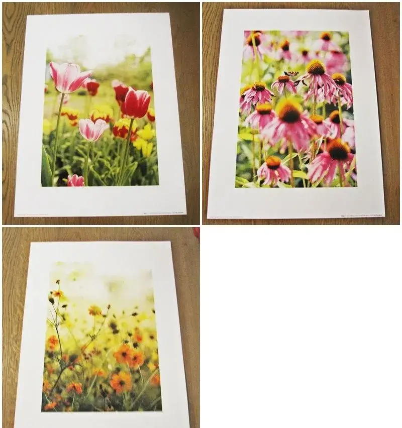 Plagátové printy kvety - sada 3 kusy