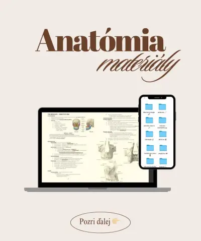 Anatómia