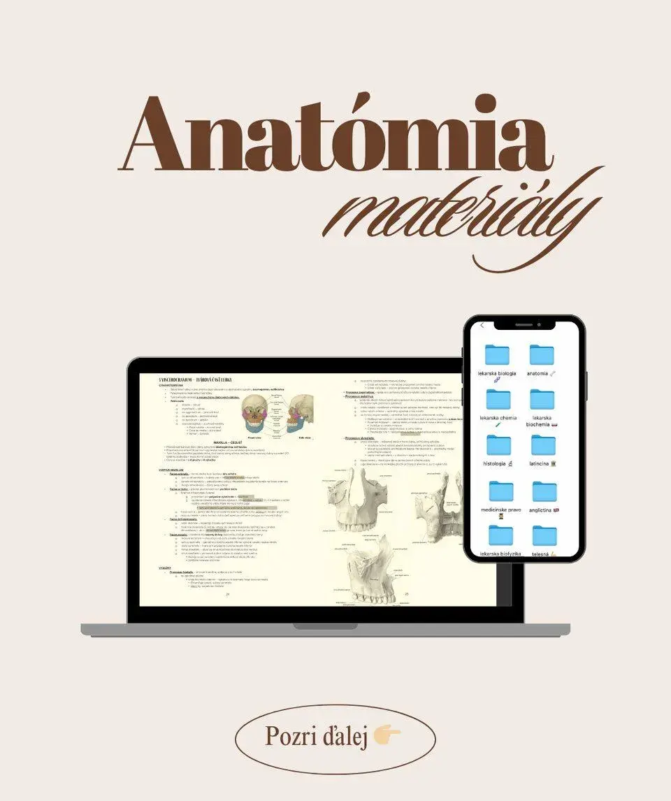 Anatómia