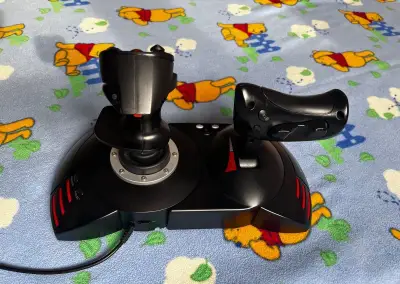 Thrustmaster T. Flight Hotas X