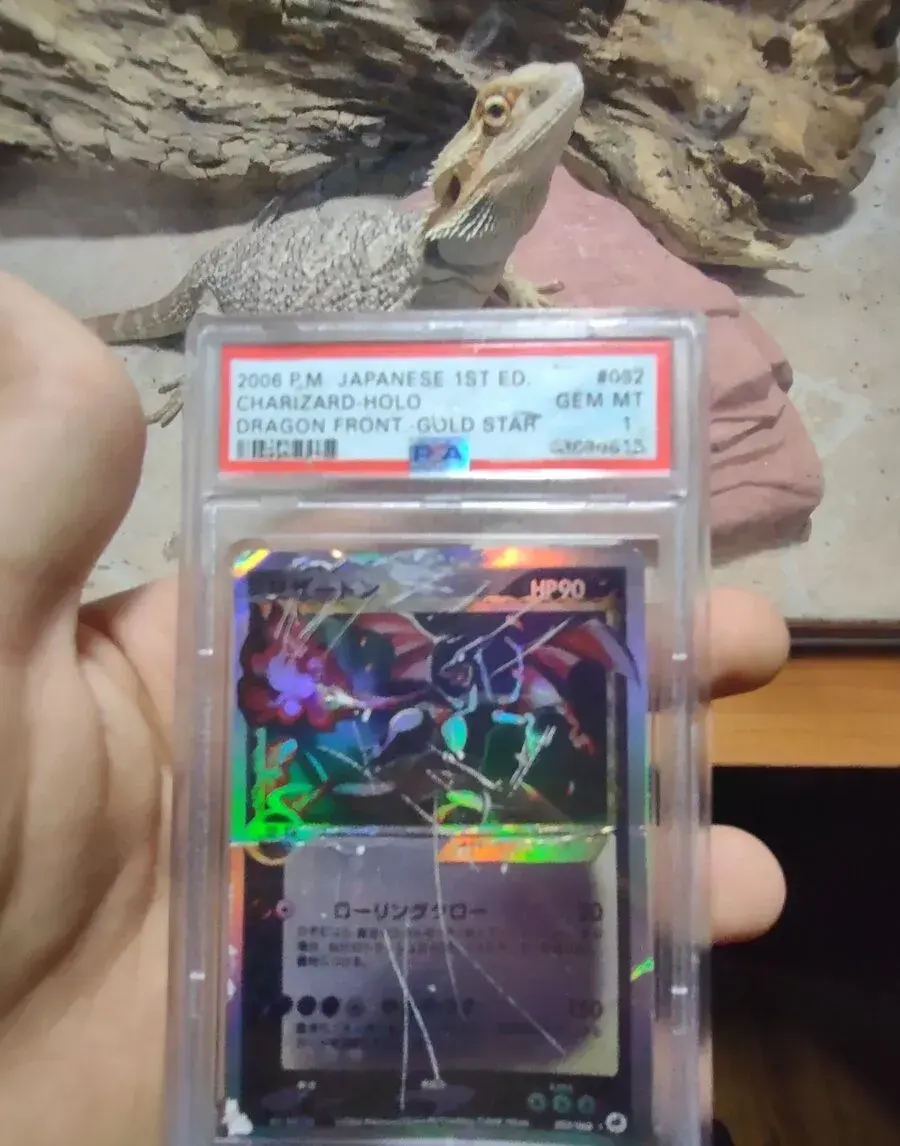 Pokémon karty