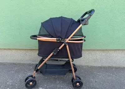 Kočik pre psa/mačku