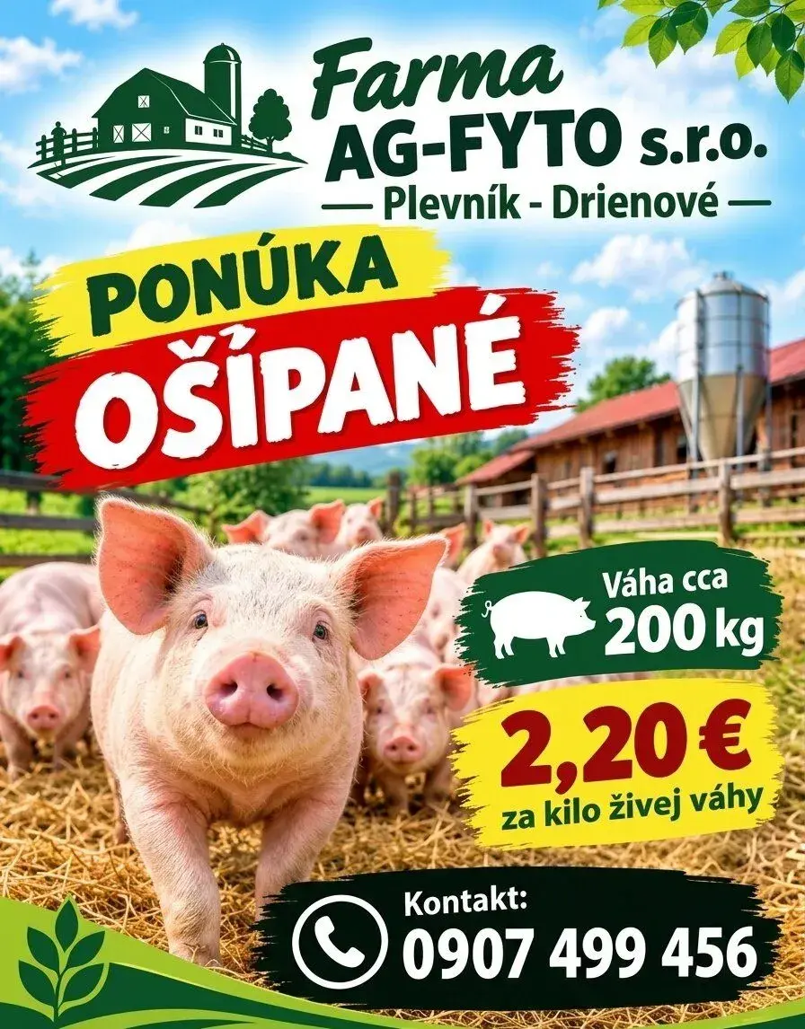 Jatočné ošípané