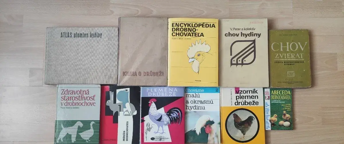 Hydina, husi, kačky, hospodárske zvieratá