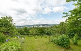HALO reality - Predaj, záhradný pozemok 4064 m2 Bratislava L