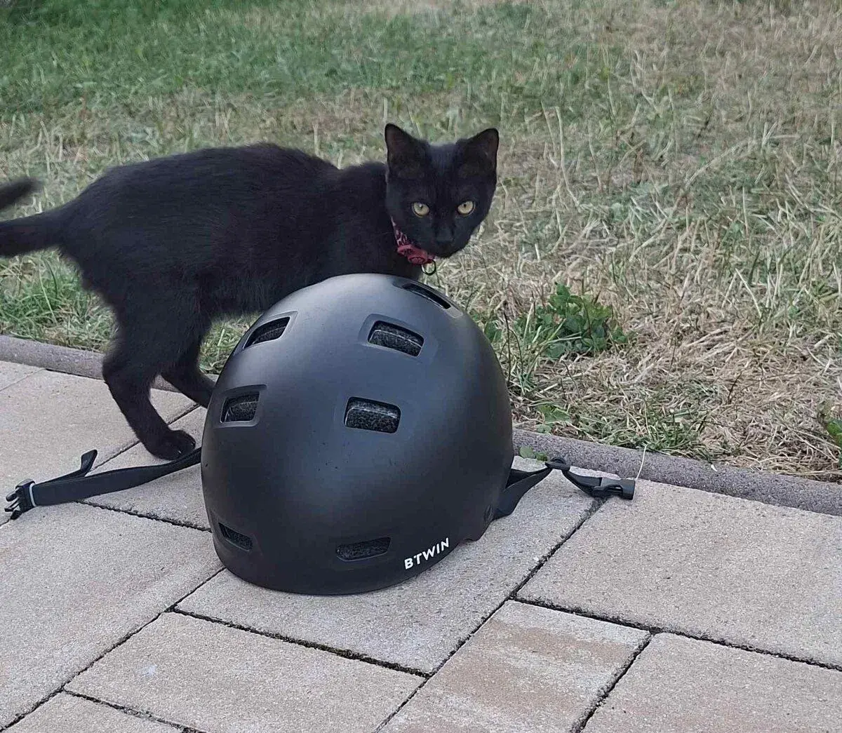 Cyklistická prilba veľkosť M