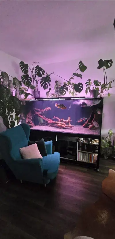 Akvárium 200x85x75cm plus prepadovy filter /nízka cena 999€