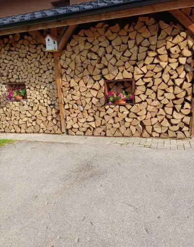 Štiepané palivové drevo breza