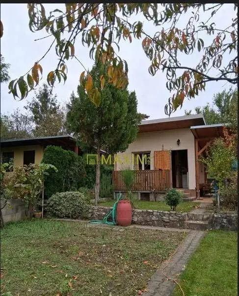 Záhrada v Devínskej Novej Vsi - časť Múrnice