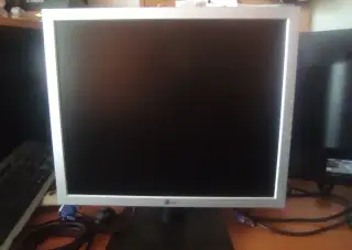 19 monitor LG