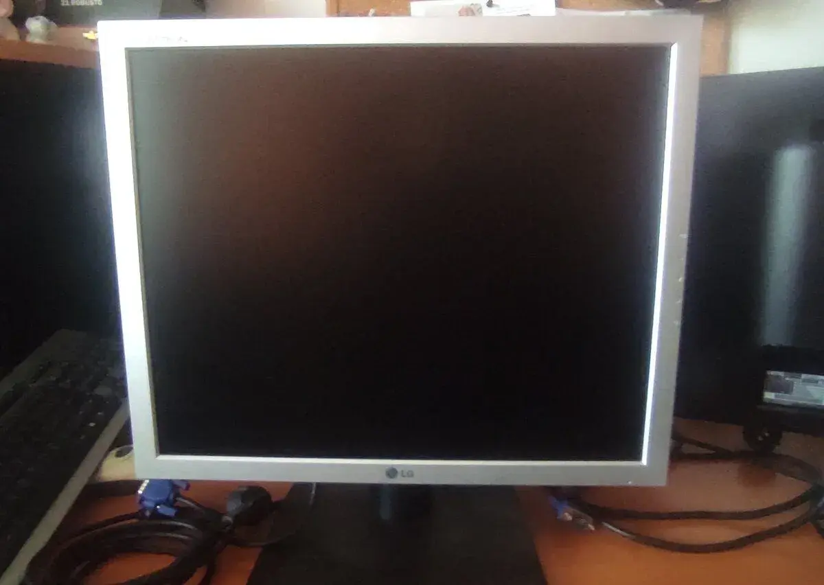 19 monitor LG