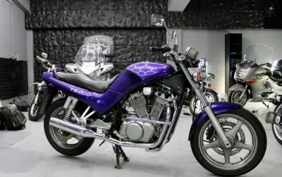 Suzuki VX 800