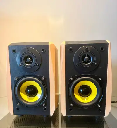 Dynavox TG1000M