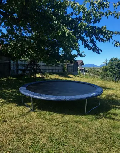 Trampolína