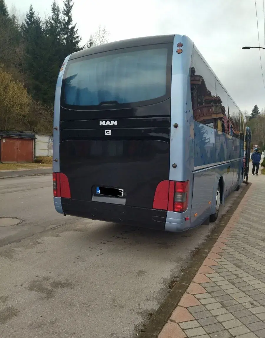 MAN LION COACH