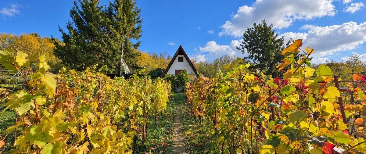 PNORF – Chata medzi vinicami s výhľadom na Váh