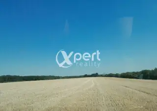 Prenájom orná pôda v rozsahu 8hek.(80.000m2) v katastri Roho