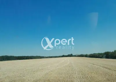 Prenájom orná pôda v rozsahu 8hek.(80.000m2) v katastri Roho