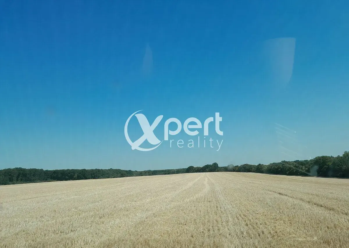 Prenájom orná pôda v rozsahu 8hek.(80.000m2) v katastri Roho
