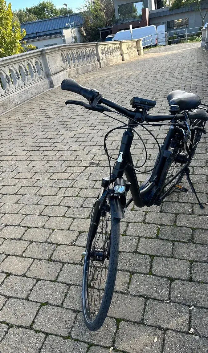 Špičkový nemecký elektrobicykel RALEIGH Dover 8 HS – sta