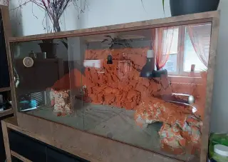 Krasne velke terarium