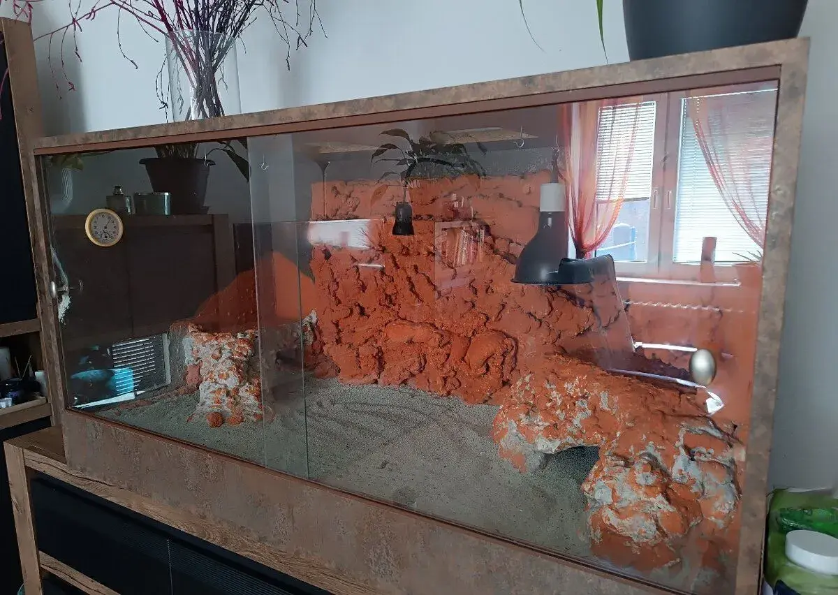 Krasne velke terarium