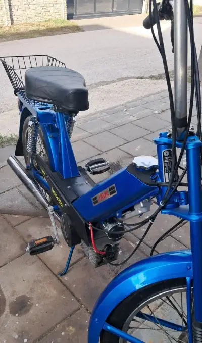 Babeta 207