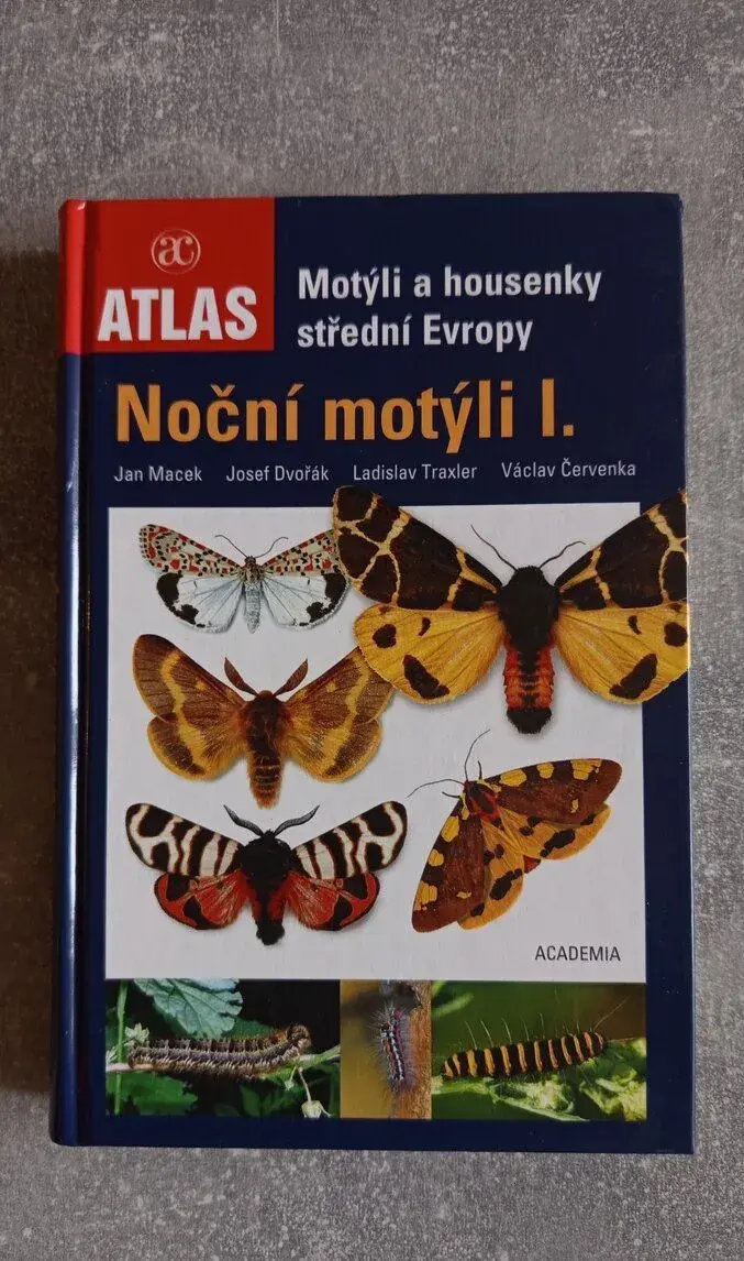 Knihu Motýli a housenky střední Evropy - Noční motýli