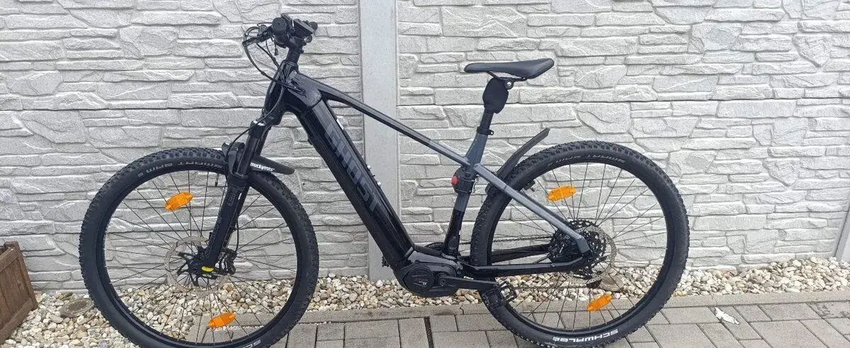 Ebike Ghost E-Teru Advanced 2024, Bosch CX 4, 750WH