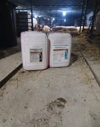 Moridlo pšenica jačmen