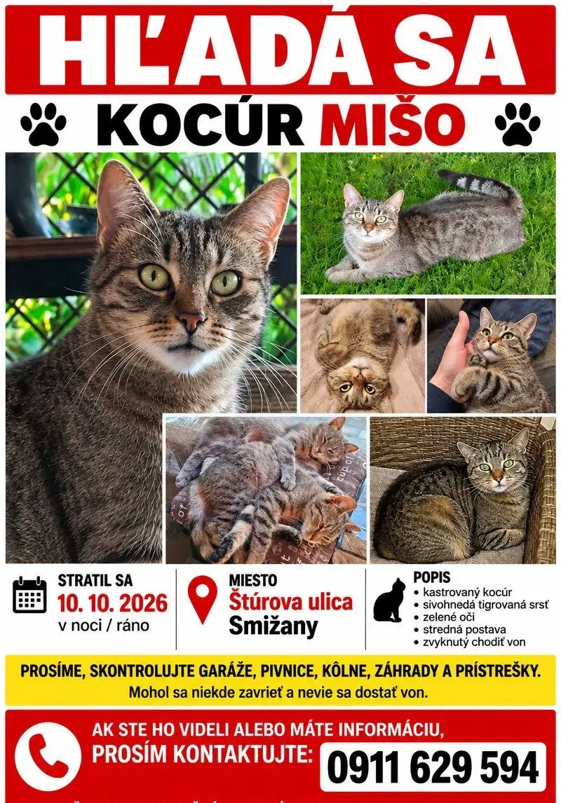 Stratila sa nám mačka aj kocúr