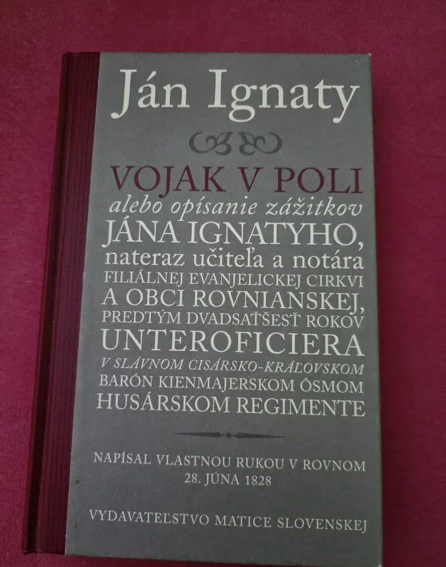Ján Ignaty – Vojak v poli (2006)