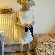 Figurína Dobbyho - Harry Potter