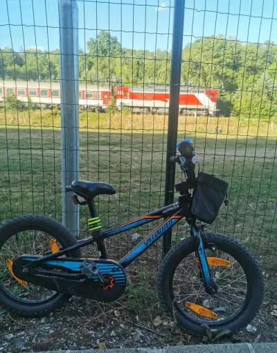 Specialized 16 Hotrock