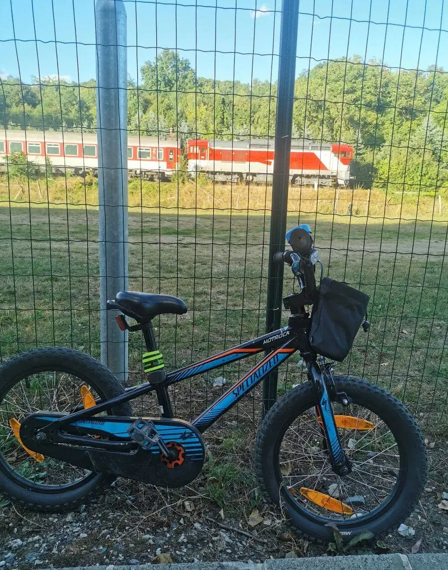 Specialized 16 Hotrock