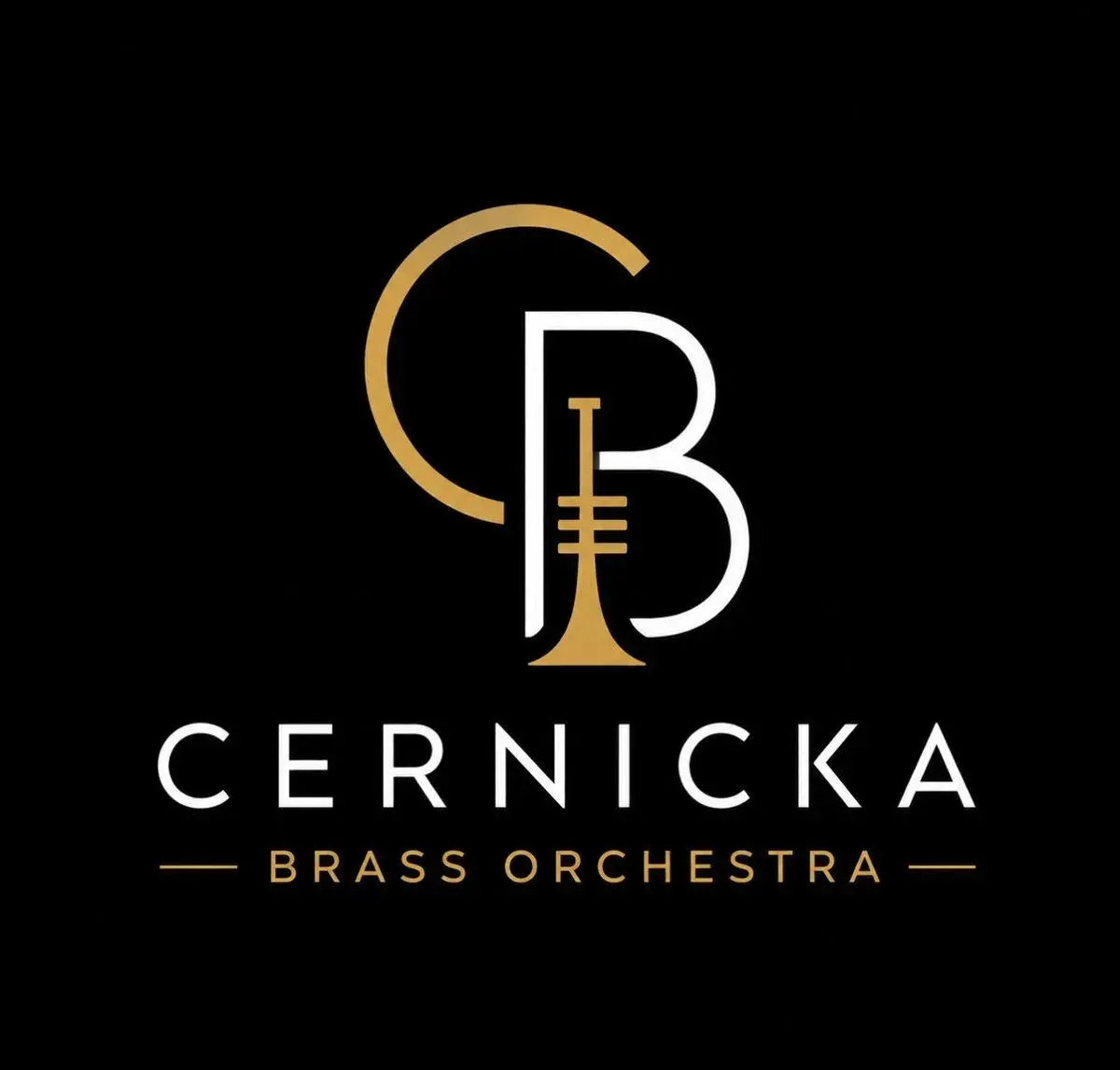 Bubeník do komerčného orchestra