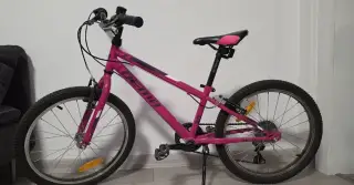 Dema Roxie 20