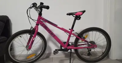 Dema Roxie 20