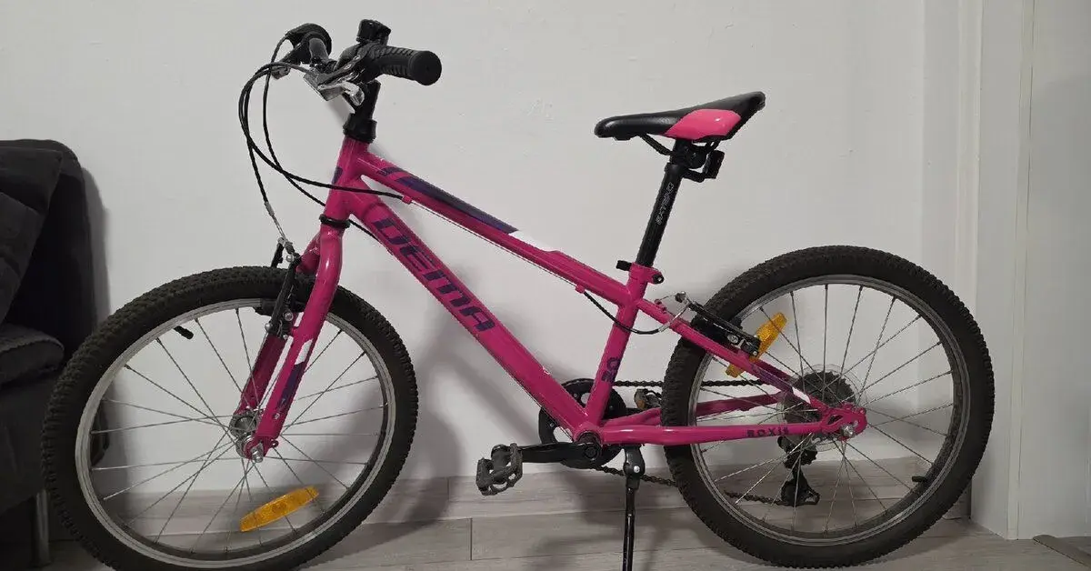 Dema Roxie 20