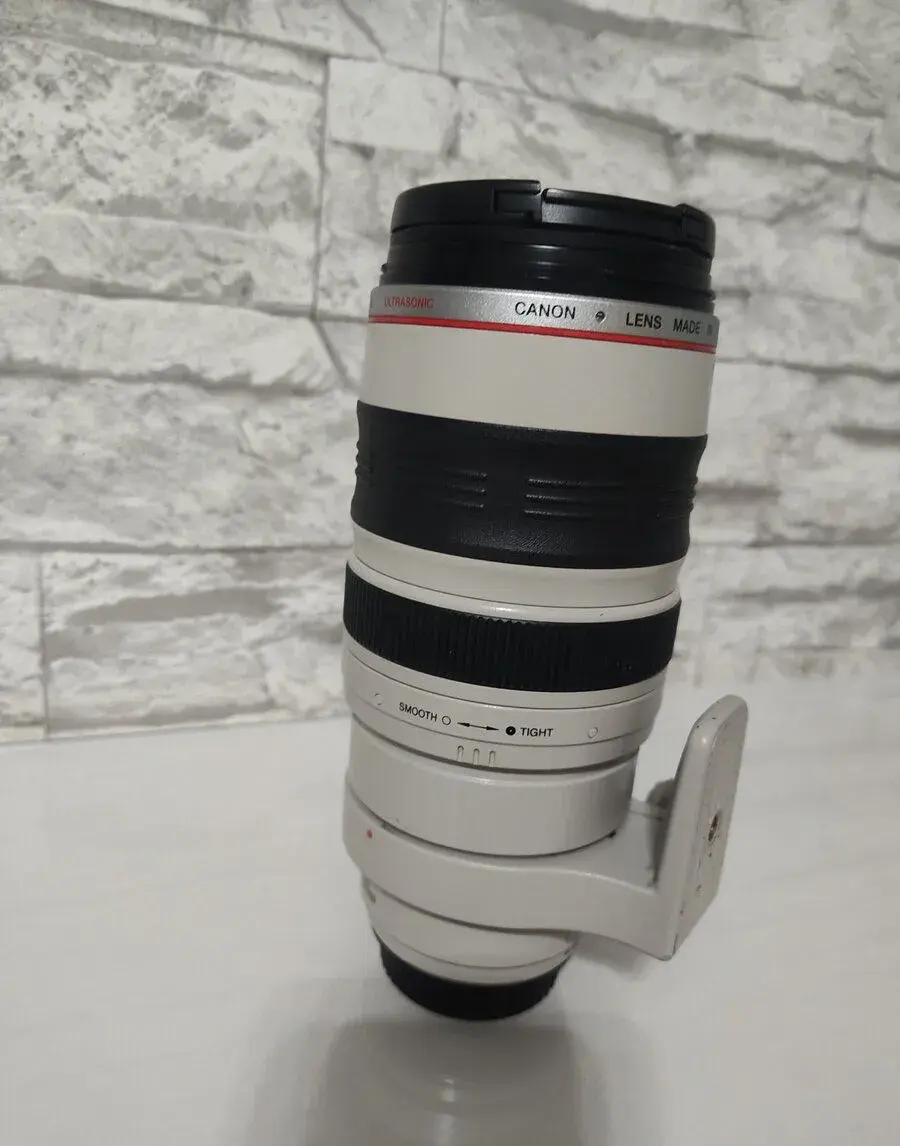 Canon EF 100–400mm f/4.5–5.6 L IS USM