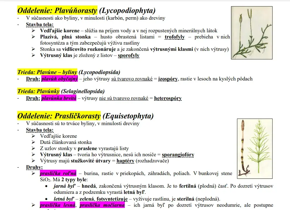 Poznámky SYSTÉM RASTLÍN