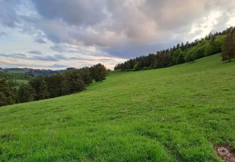 Pastvinové ustajnenie