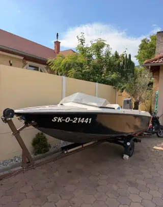 Čln Suzuki