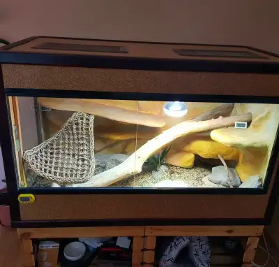 Terarium