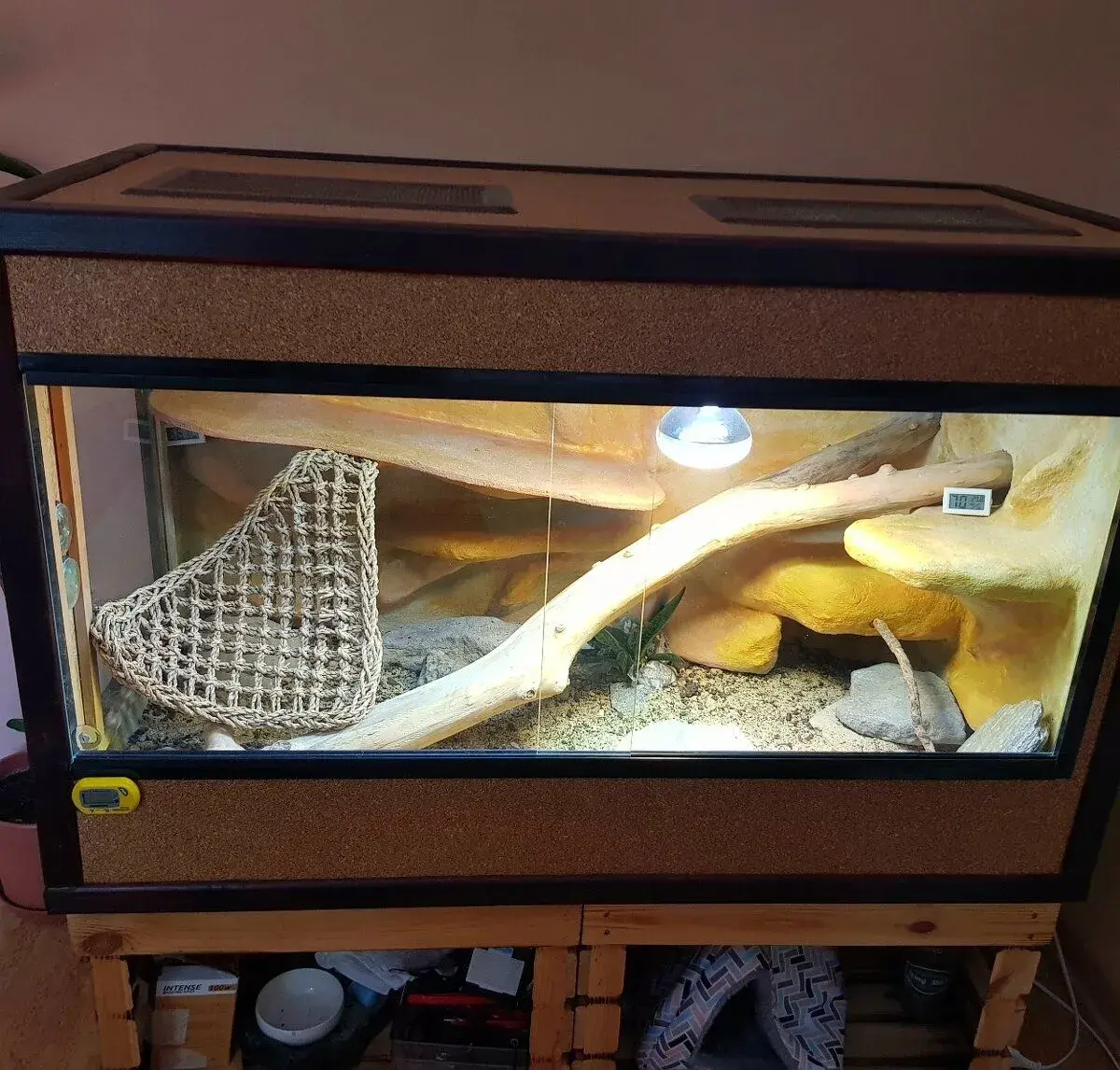 Terarium