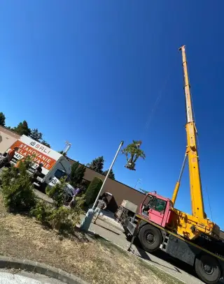 Spoľahlivé sťahovanie s poistením - Levice